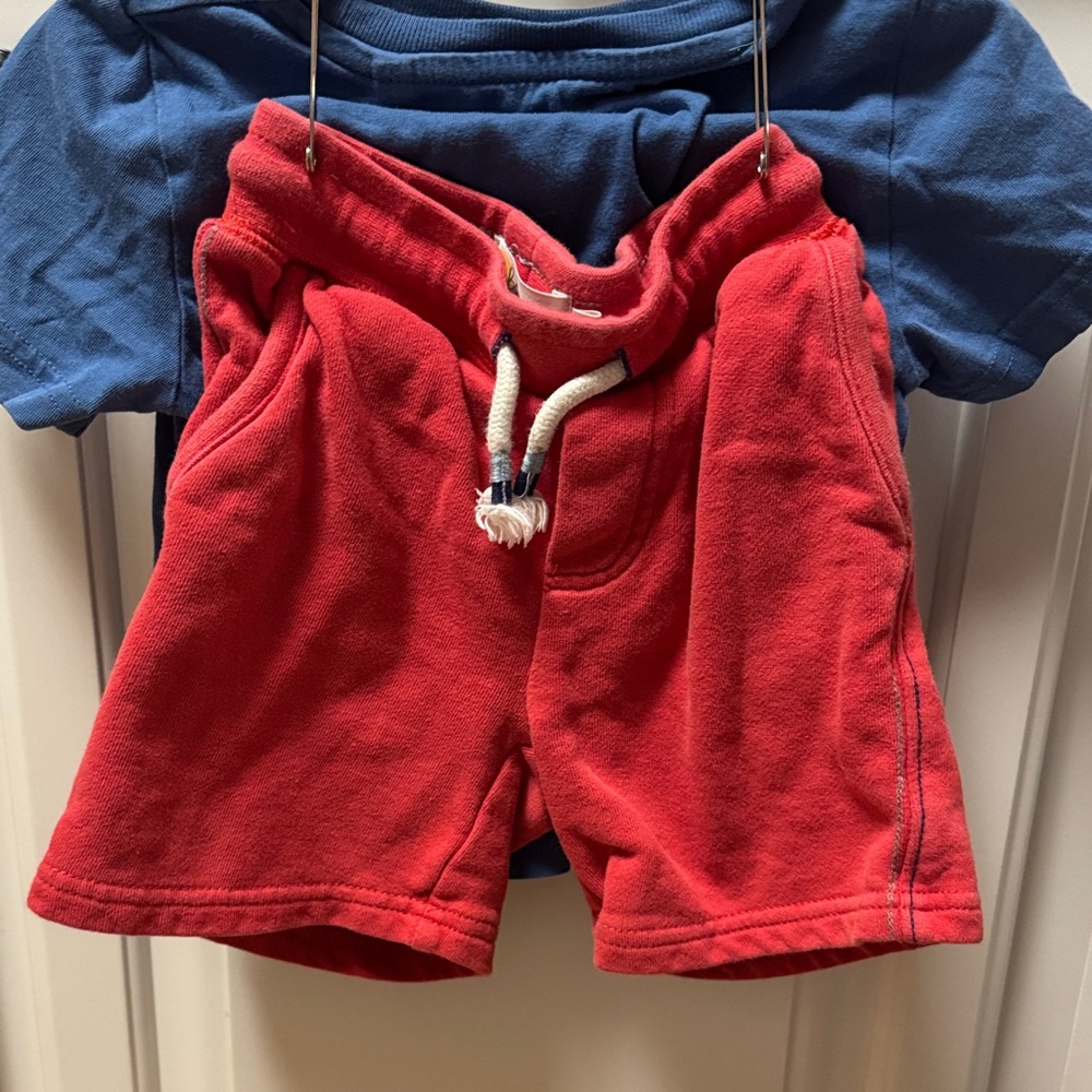 Mini Boden Blue 'Ultimate Bug Guide' Short Sleeve Tee and shorts - Picture 3 of 4